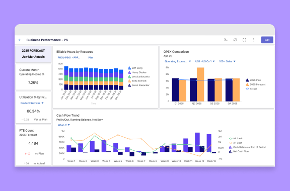 Professional Services Profitability Management - Planful